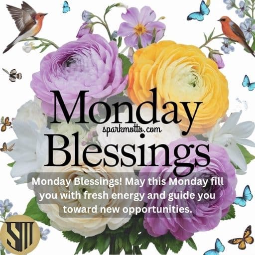 Monday Blessings! May this Monday fill you with fresh energy and guide you toward new opportunities.