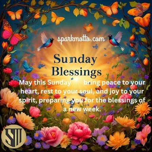 Sunday Blessings! May this Sunday bring peace to your heart, rest to your soul, and joy to your spirit, preparing you for the blessings of a new week.