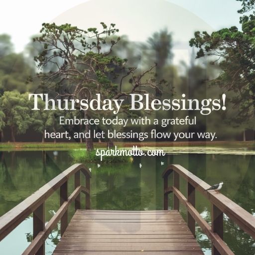 Thursday Blessings! Take a deep breath, trust the process, and let the blessings bloom.