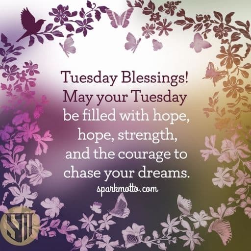 Tuesday Blessings! May your Tuesday be filled with hope, strength, and the courage to chase your dreams.